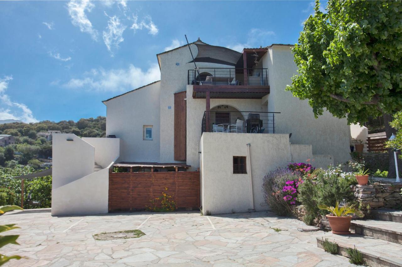 Vita Nova Santa-Maria-di-Lota Dış mekan fotoğraf
