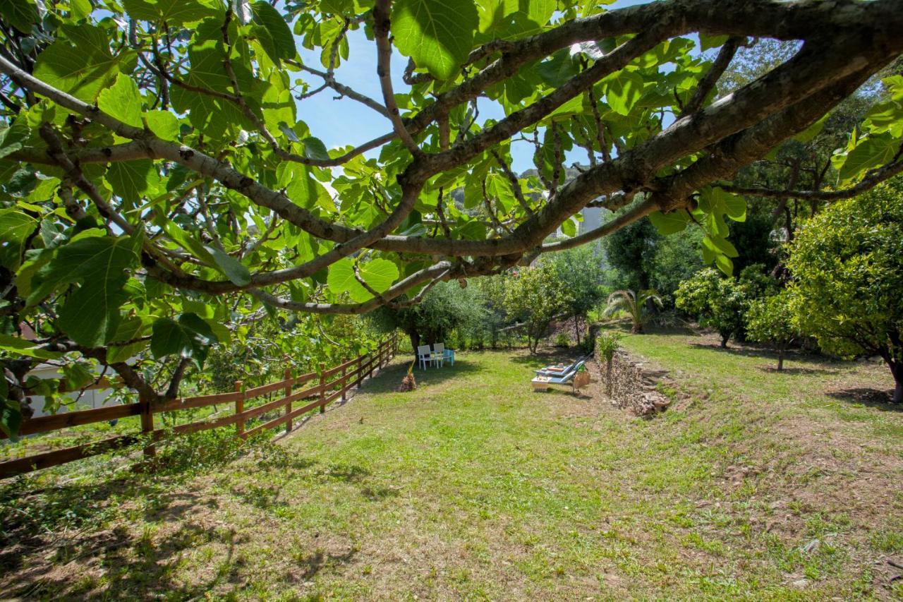 Vita Nova Santa-Maria-di-Lota Dış mekan fotoğraf